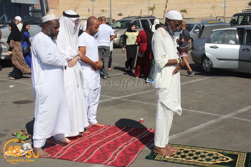 7ojaj yaffaj3h34h (23).JPG